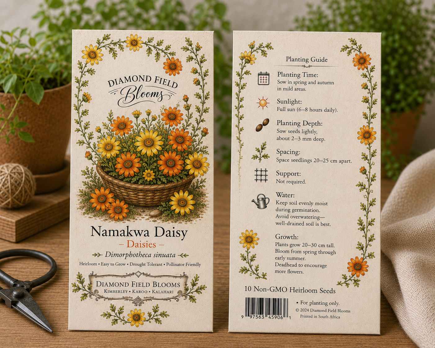 Namakwa Daisie