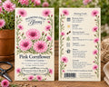 Pink Cornflower Seeds | Cottage Garden Flowers